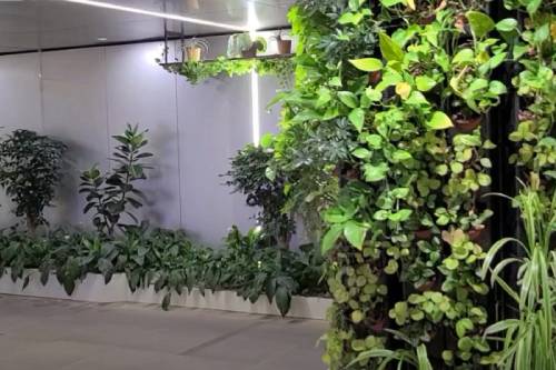 AI-Assisted Video Retiming