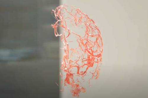 Unreal Engine Visrtual Human