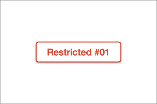 restricted project #01